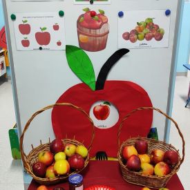 Dzień Jabłka 🍎w grupie „Różyczki” i „Niezapominajki”