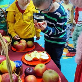 Dzień Jabłka 🍎w grupie „Różyczki” i „Niezapominajki”