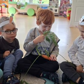 „Marchewka – zdrowe warzywo” – rozpoczęcie projektu edukacyjnego