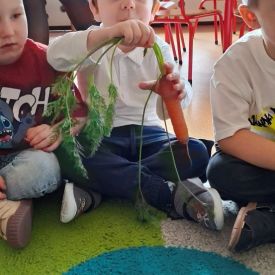 „Marchewka – zdrowe warzywo” – rozpoczęcie projektu edukacyjnego
