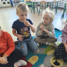 Angielski u Tulipanów – Warzywne Zabawy! 🥕🥦