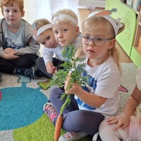 „Marchewka – zdrowe warzywo” 