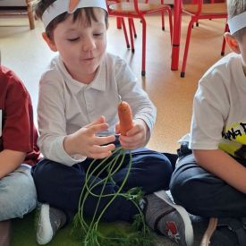 „Marchewka – zdrowe warzywo” 
