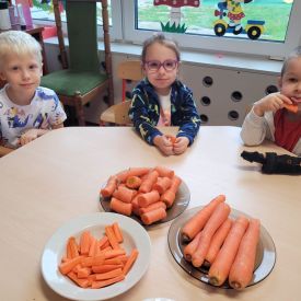 Fiołki kontynuują projekt ,, Marchewka- zdrowe warzywo"