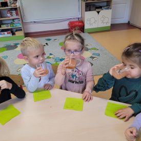 Fiołki kontynuują projekt ,, Marchewka- zdrowe warzywo"