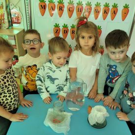 Fiołki kontynuują projekt ,, Marchewka- zdrowe warzywo"
