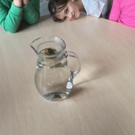 "Carpe diem" – chwytajmy dzień, nawet wtedy, gdy za oknem pada deszcz BRATKI