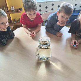 "Carpe diem" – chwytajmy dzień, nawet wtedy, gdy za oknem pada deszcz BRATKI