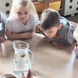 "Carpe diem" – chwytajmy dzień, nawet wtedy, gdy za oknem pada deszcz BRATKI