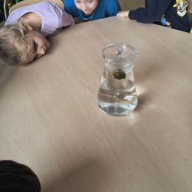 "Carpe diem" – chwytajmy dzień, nawet wtedy, gdy za oknem pada deszcz BRATKI