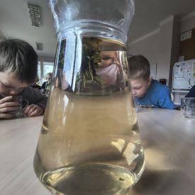 "Carpe diem" – chwytajmy dzień, nawet wtedy, gdy za oknem pada deszcz BRATKI