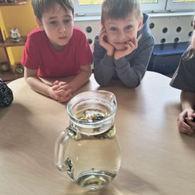 "Carpe diem" – chwytajmy dzień, nawet wtedy, gdy za oknem pada deszcz BRATKI