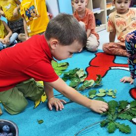 Witamy Jesień- Różyczki 🍂🍎