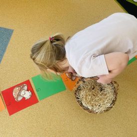 Dzień Gier Planszowych