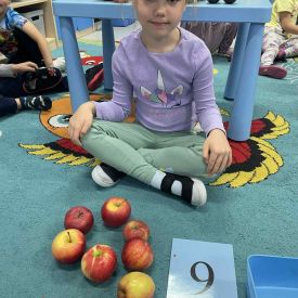 Innowacja pedagogiczna ,,Matematyczne Królestwo Zmysłów" - Różyczki