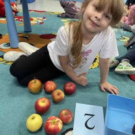 Innowacja pedagogiczna ,,Matematyczne Królestwo Zmysłów" - Różyczki