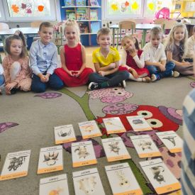 Halloweenowe zabawy w grupach Bratki i Tulipany 🎃