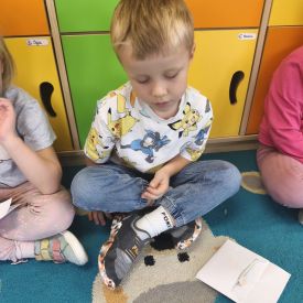 Liczymy pieniądze! 💰