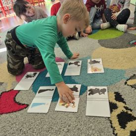 Poznajemy bajki po polsku i angielsku- Fiołki