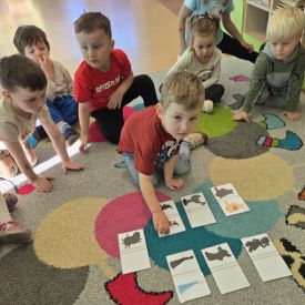 Poznajemy bajki po polsku i angielsku- Fiołki