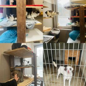 Zakończenie akcji charytatywnej na rzecz potrzebujących zwierząt ze schroniska