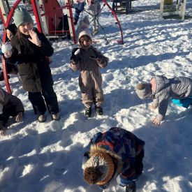 Zimowe zabawy Stokrotek