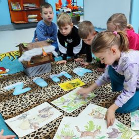 Jak pomóc ptakom zimą?- Różyczki