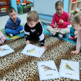 Jak pomóc ptakom zimą?- Różyczki