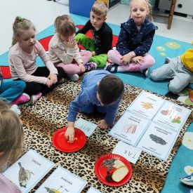 Pomagamy ptakom przetrwać zimę