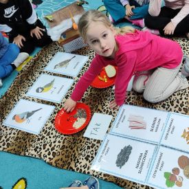 Jak pomóc ptakom przetrwać zimę?- Różyczki