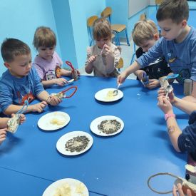 Jak pomóc ptakom przetrwać zimę?- Różyczki