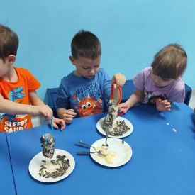 Jak pomóc ptakom przetrwać zimę?- Różyczki