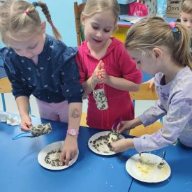 Jak pomóc ptakom przetrwać zimę?- Różyczki