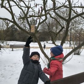 Zima niestraszna naszym skrzydlatym przyjaciołom!