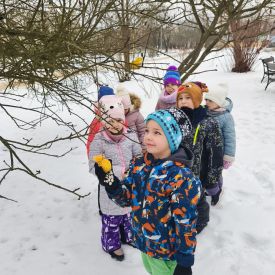 Zima niestraszna naszym skrzydlatym przyjaciołom!