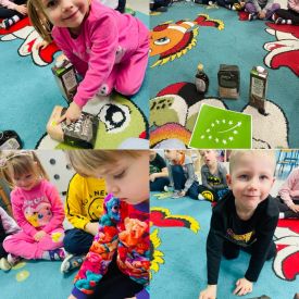 Skąd się biorą produkty ekologiczne?