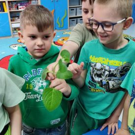 🌼„Zielony ogródek  – Różyczki witają wiosnę”🌷