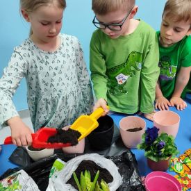 🌼„Zielony ogródek  – Różyczki witają wiosnę”🌷