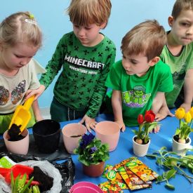 🌼„Zielony ogródek  – Różyczki witają wiosnę”🌷