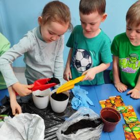 🌼„Zielony ogródek  – Różyczki witają wiosnę”🌷