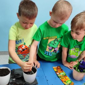 🌼„Zielony ogródek  – Różyczki witają wiosnę”🌷