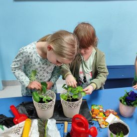 🌼„Zielony ogródek  – Różyczki witają wiosnę”🌷