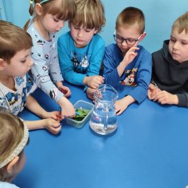 DZIEŃ WODY 💦🌍