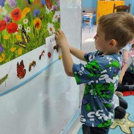 🌼🐞 „Majowa Łąka” – Kodowanie na dywanie w grupie Różyczki 