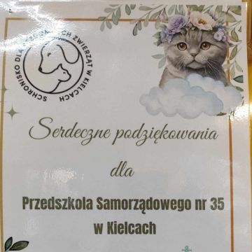 Podziękowanie dla przedszkola ze Schroniska