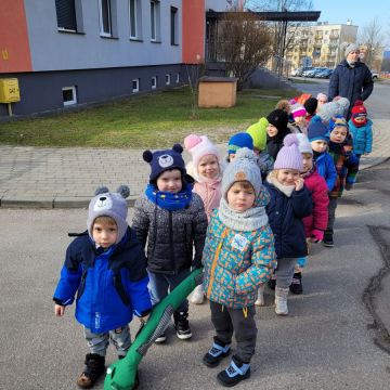 Stokrotki idą na spacer z zielonym wężem.