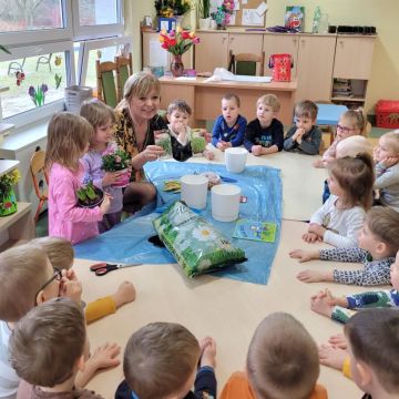 Zielony ogródek w Stokrotkach