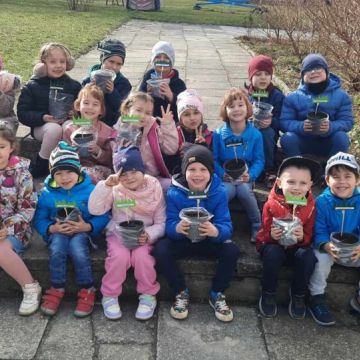 Nasze wiosenne ogródki