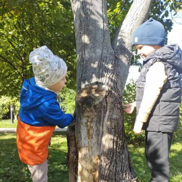 Projekt edukacyjny „Kreatywna Matematyka”