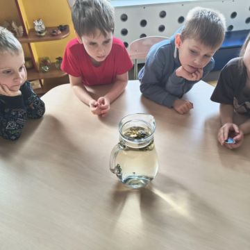 "Carpe diem" – chwytajmy dzień, nawet wtedy, gdy za oknem pada deszcz BRATKI